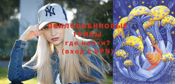 apvp Балахна