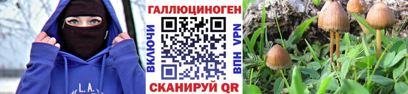 кракен маркетплейс  Кунгур  Псилоцибиновые грибы Psilocybe 