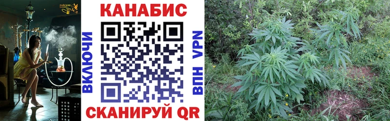 Бошки марихуана VHQ Кунгур